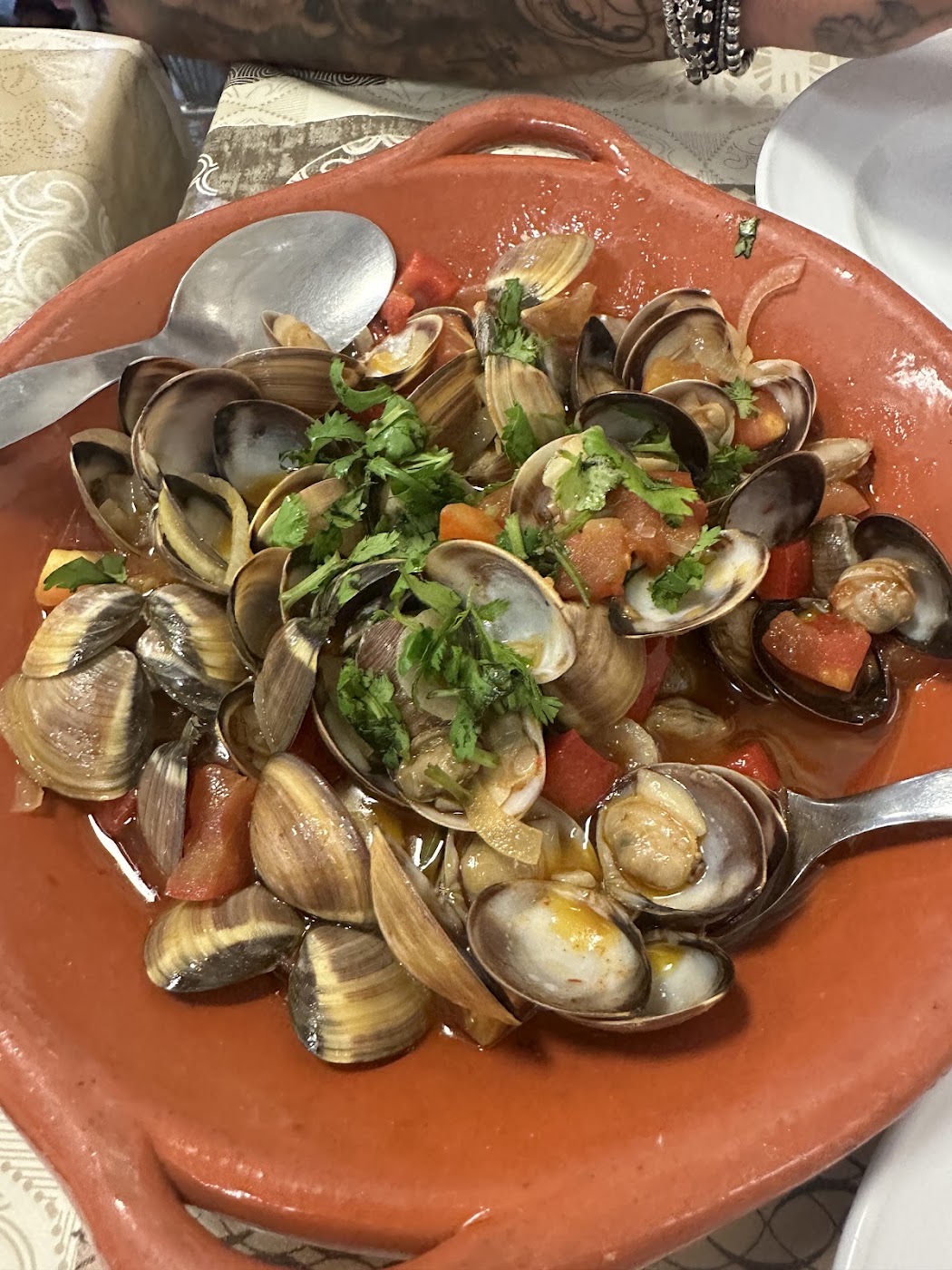 O Regueirão from the kitchen
